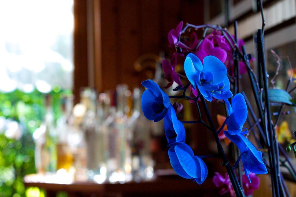 Altavilla Locanda E Tipica Trattoria Bianzone Zewnętrze zdjęcie